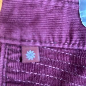 Athelta Women’s Burgundy corduroy 5 Pocket  Pants W/Drawstring Sz 10-EUC